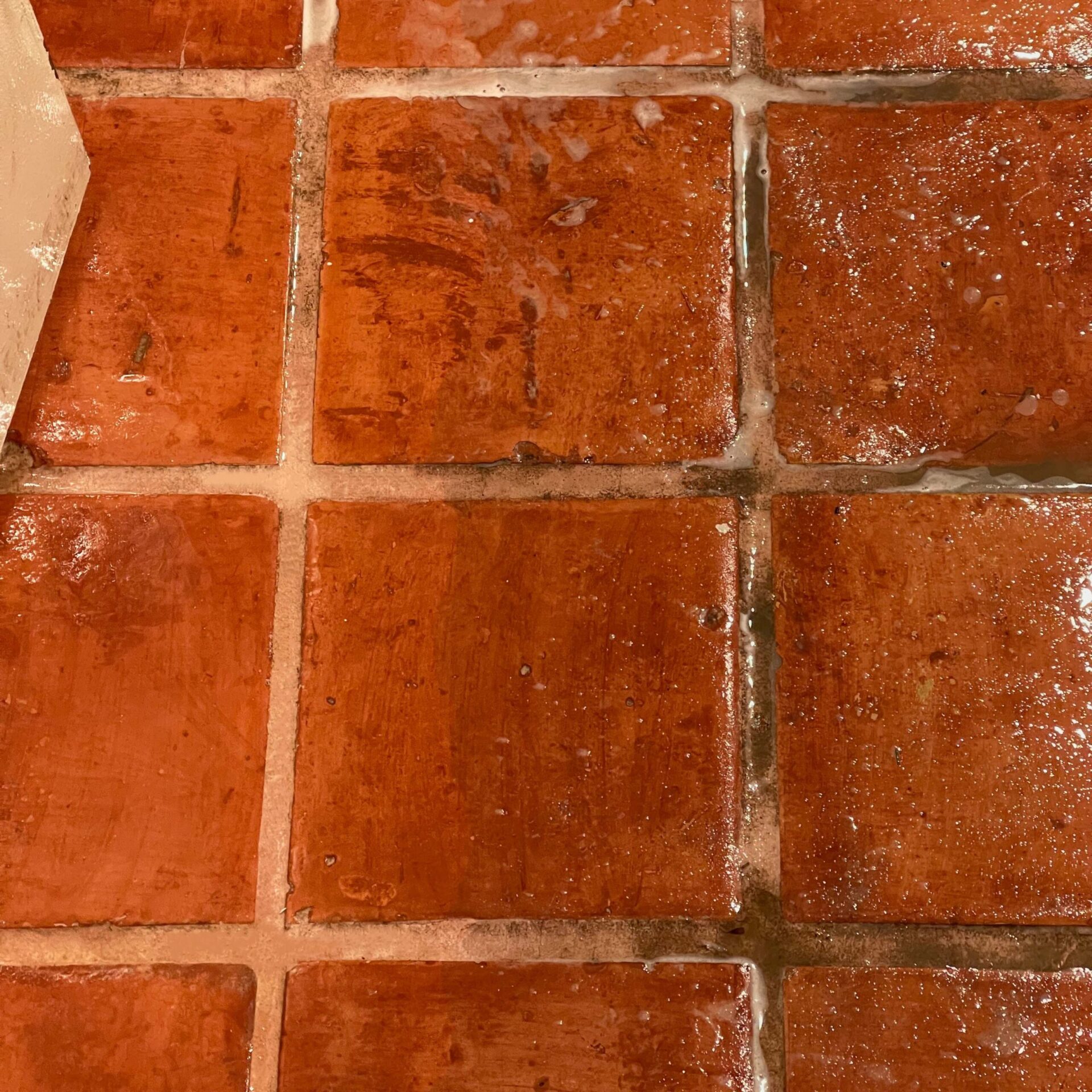 Saltillo tile and grout cleaning