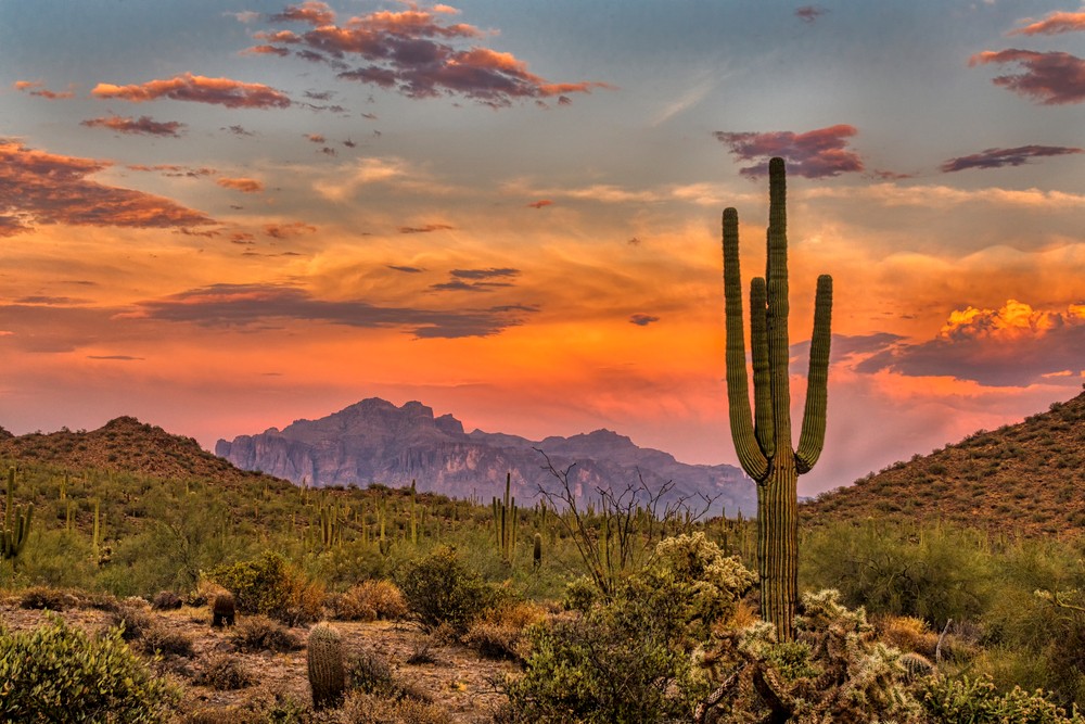 Peoria, Arizona